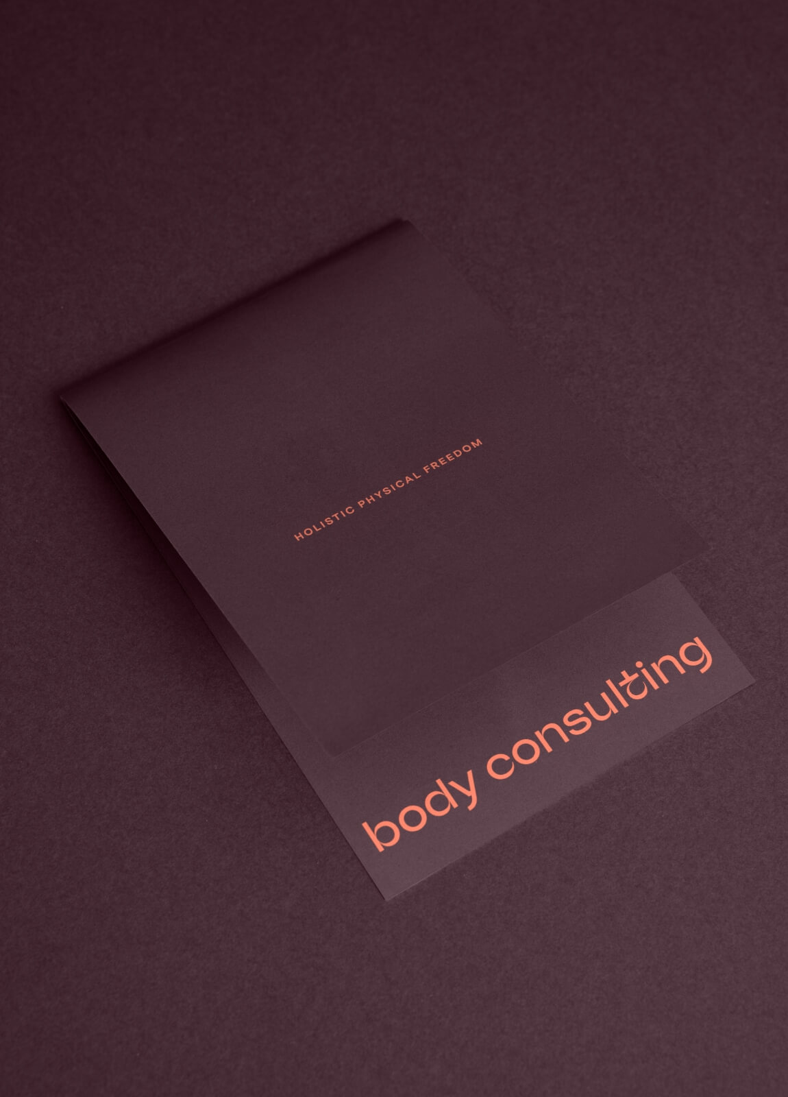 body consulting flyer, closed